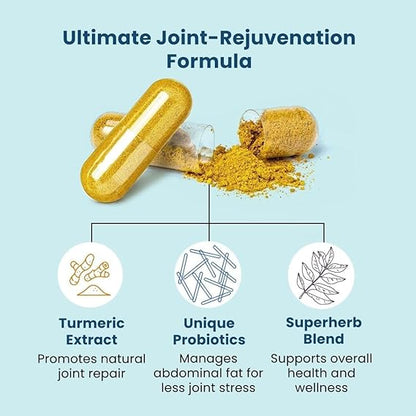 Provitalize Synbiotic Formula – Botanical Extracts for Gut Health, Metabolism & Women’s Wellness