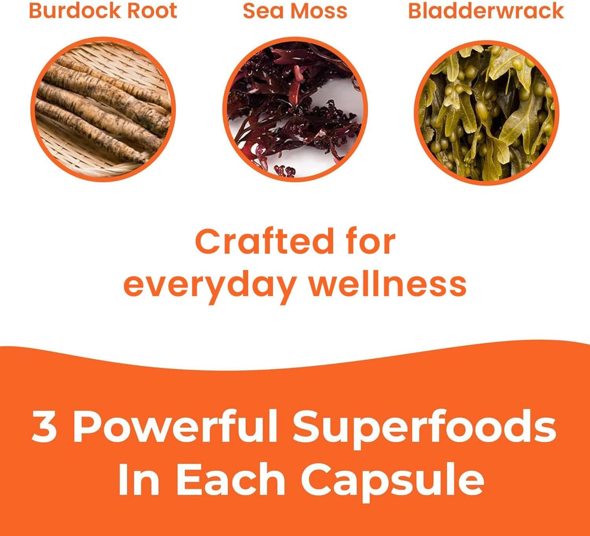 INFINITE AGE 1250mg Sea Moss Advanced Superfood Capsules – 60 Count