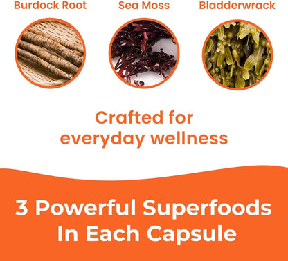 INFINITE AGE 1250mg Sea Moss Advanced Superfood Capsules – 60 Count