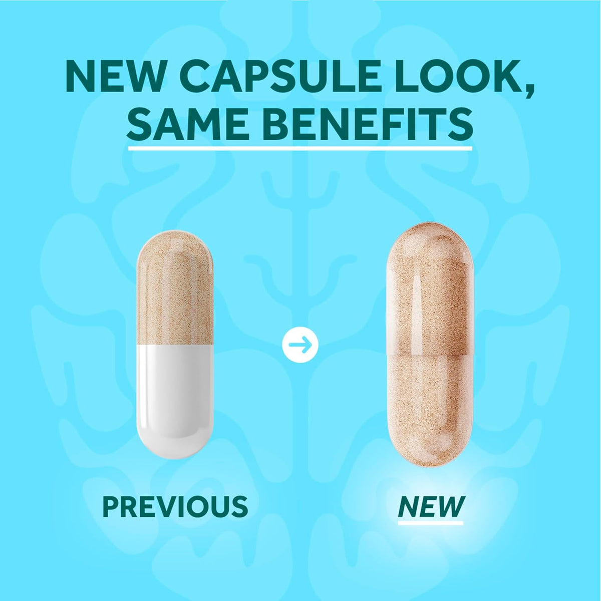 NEURIVA Plus Brain Supplement for Memory, Focus & Concentration + Cognitive Function with Clinically Tested Nootropics Phosphatidylserine and Neurofactor, Vitamins B6 & B12, 30 Count Capsules