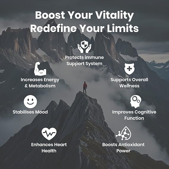 Flynew Shilajit Ultra Optimal Potency – Shilajit Extract with L-Arginine (Pure Formula)