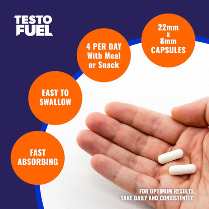 TestoFuel 120 T-Booster Pills – Natural Testosterone Support for Strength, Energy &amp; Muscle Growth
