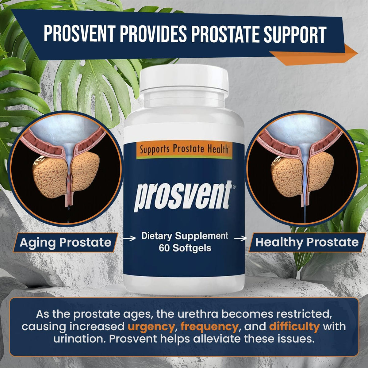 Prosvent Advanced Men's Prostate Support – Natural Formula for Urinary Health &amp; Wellness