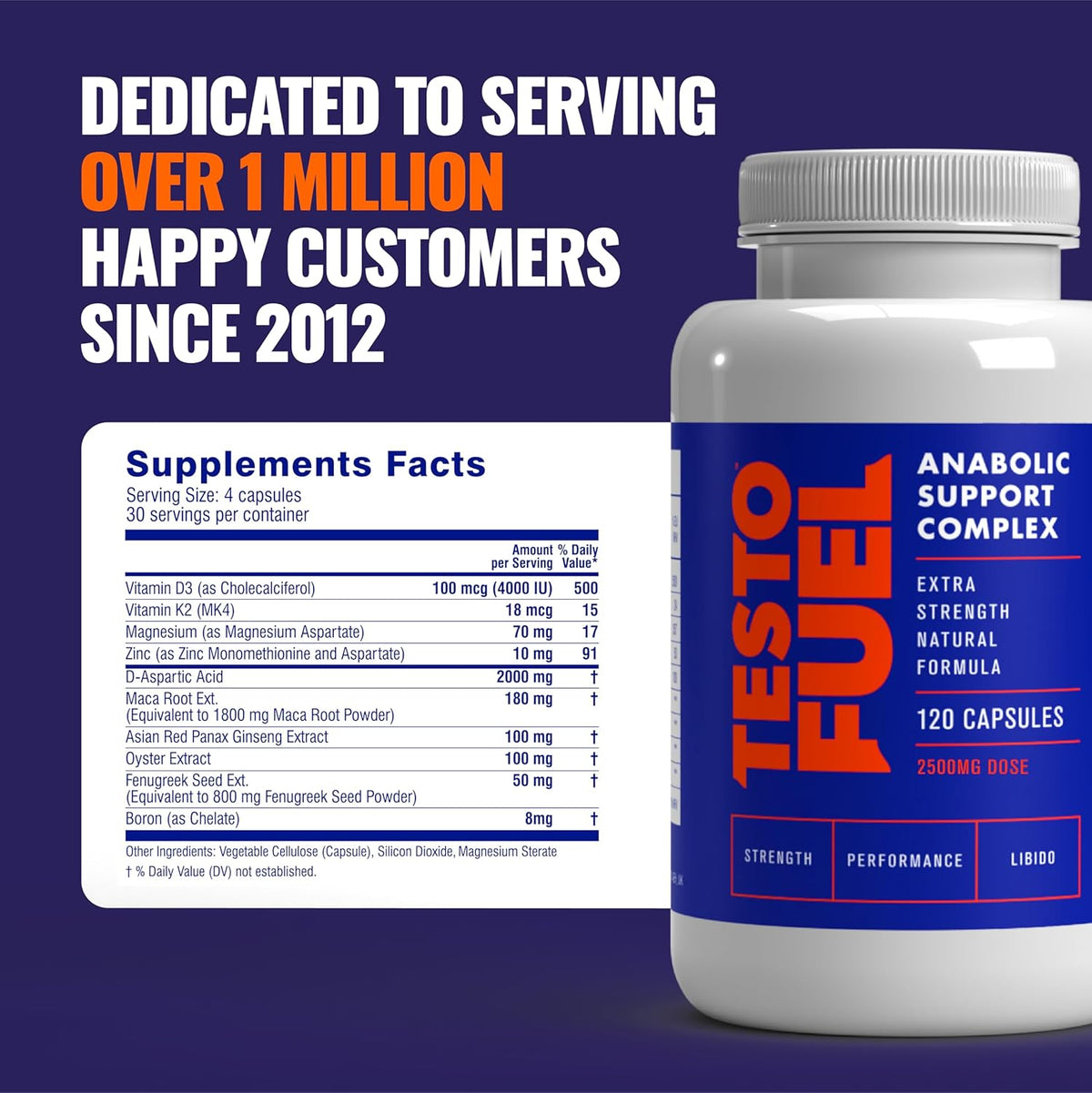 TestoFuel 120 T-Booster Pills – Natural Testosterone Support for Strength, Energy &amp; Muscle Growth
