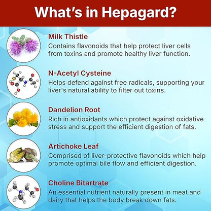 Hepagard – Natural Liver Support Supplement with N-Acetyl Cysteine (NAC) for Detox &amp; Daily Wellness