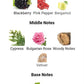 Chart of top, middle, and base notes with corresponding images and names on a white background.
