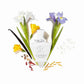 Creed perfume bottle with flowers and vanilla bean on a white background