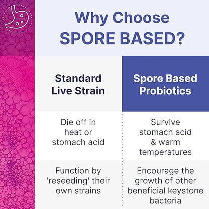 Mega_Spore_Biotic_180_capsules_spore_based
