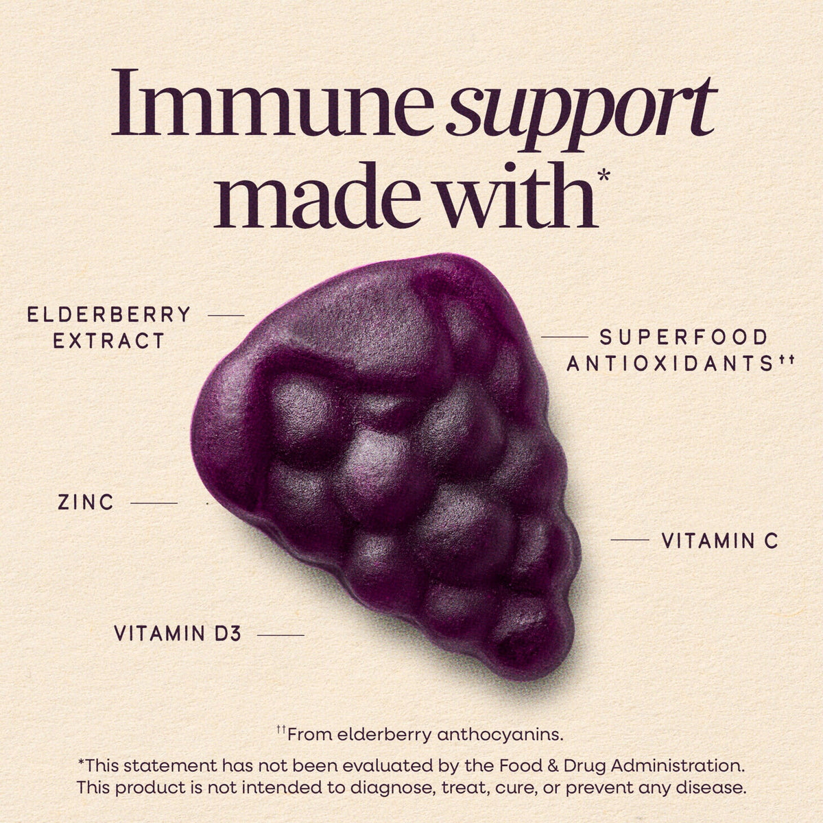 Nature’s Way Sambucus Elderberry Gummies – Daily Immune Support for the Whole Family